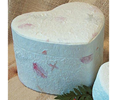 Bio-degradable cremation urn