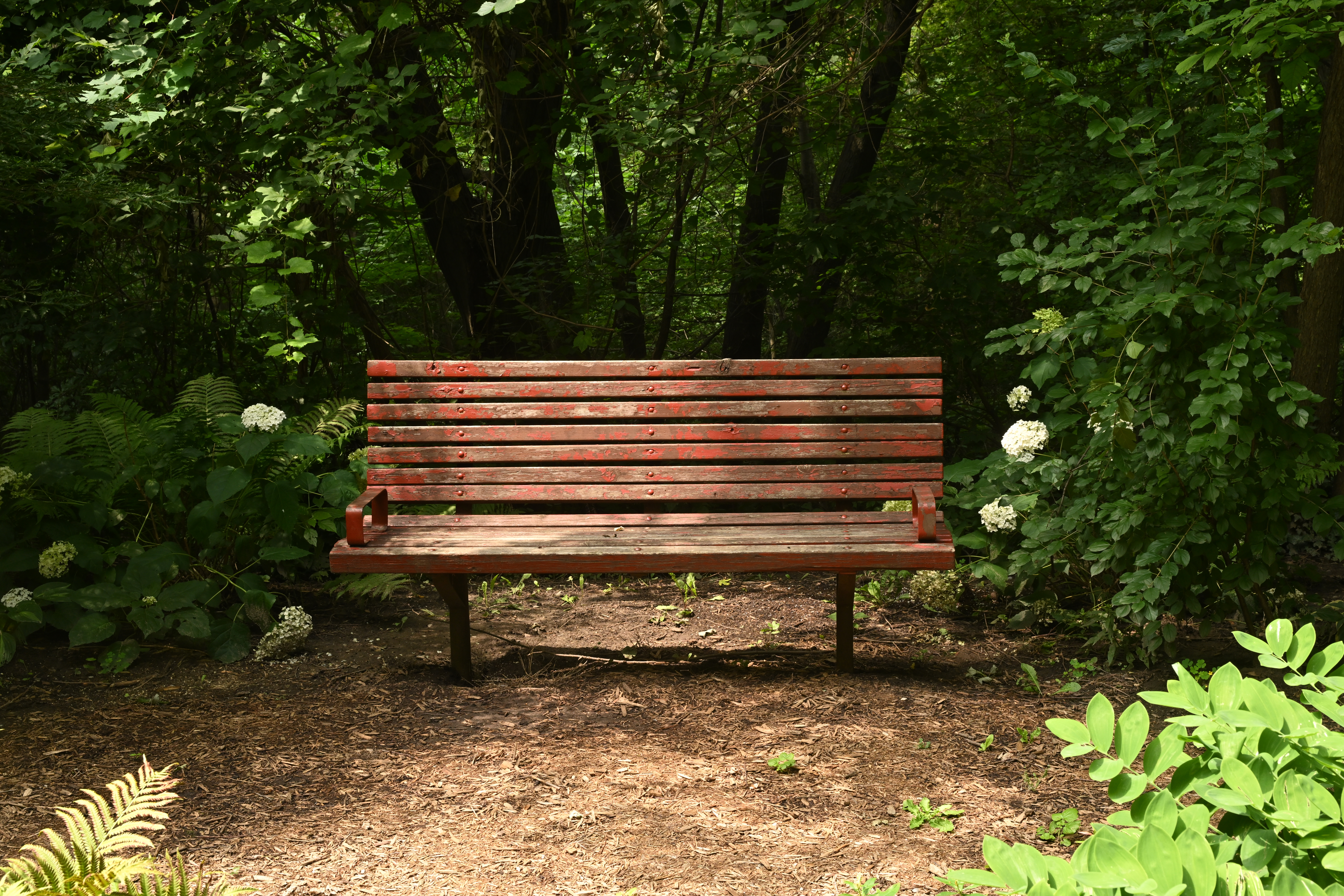 bench