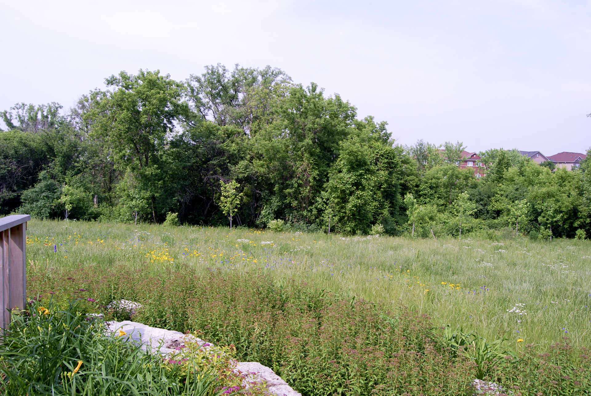 Meadowvale Natural burial area
