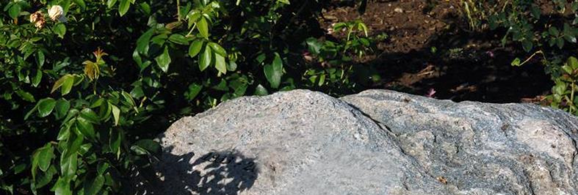 memorial boulder