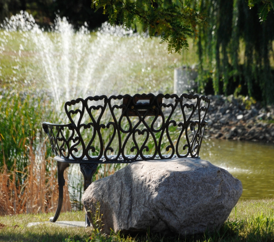 bench and pond