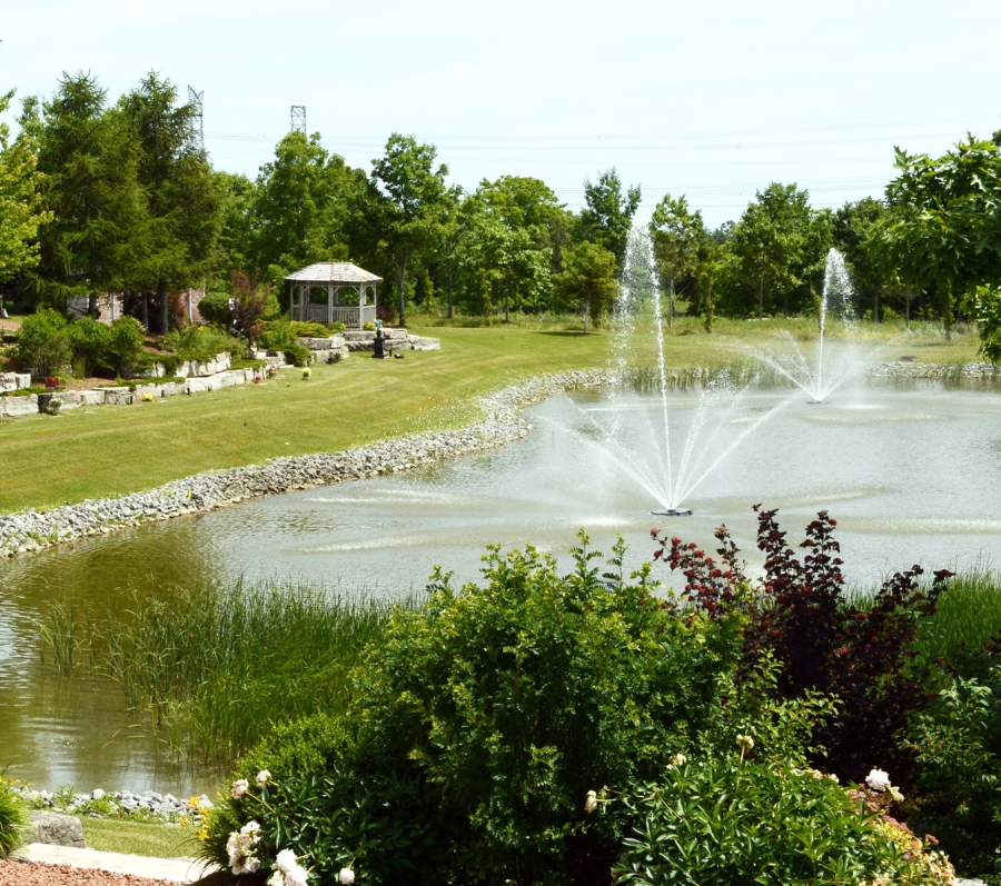 pond with fountain