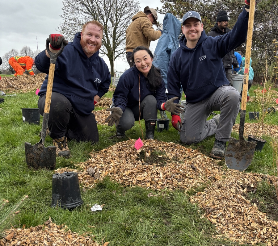 Three people kneeling by a newly planted tree, holding shovels and smiling.