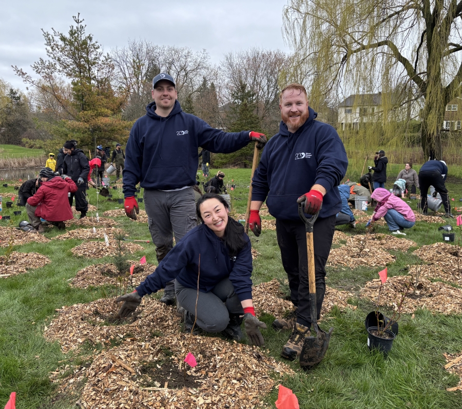 Three people standing and kneeling beside a newly planted tree, holding shovels, with others planting trees in the background.