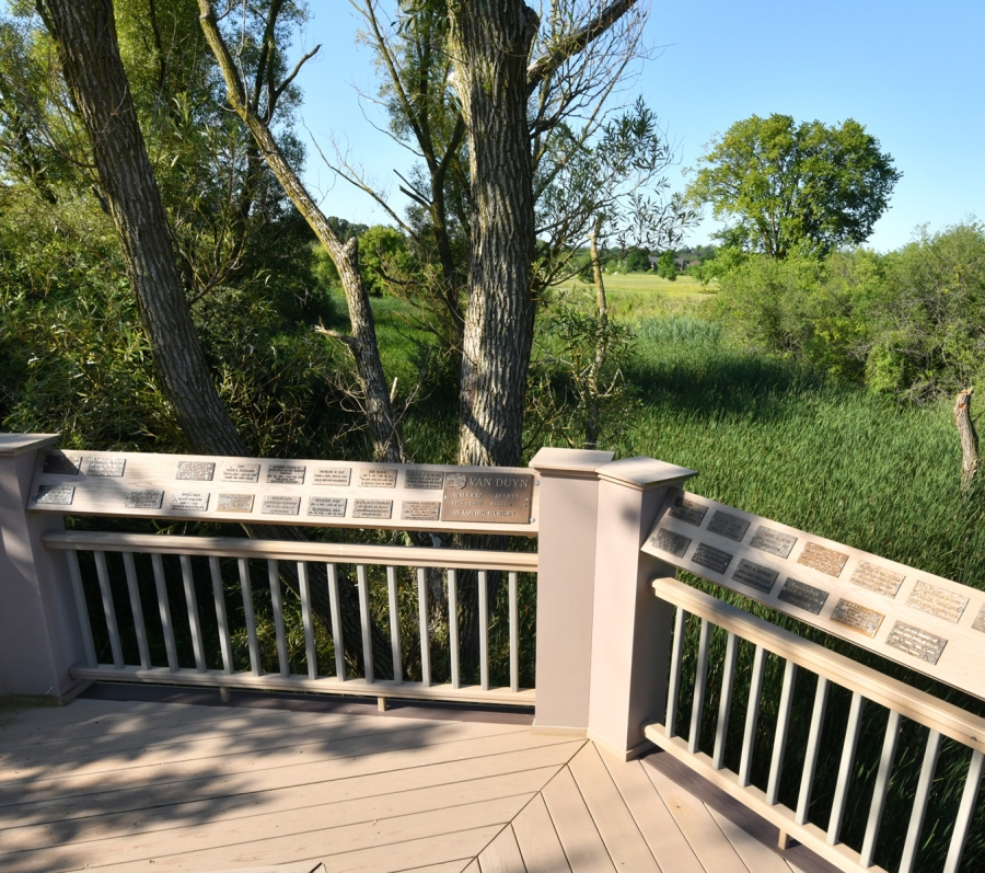 Peaceful view of Meadowvale Cemetery