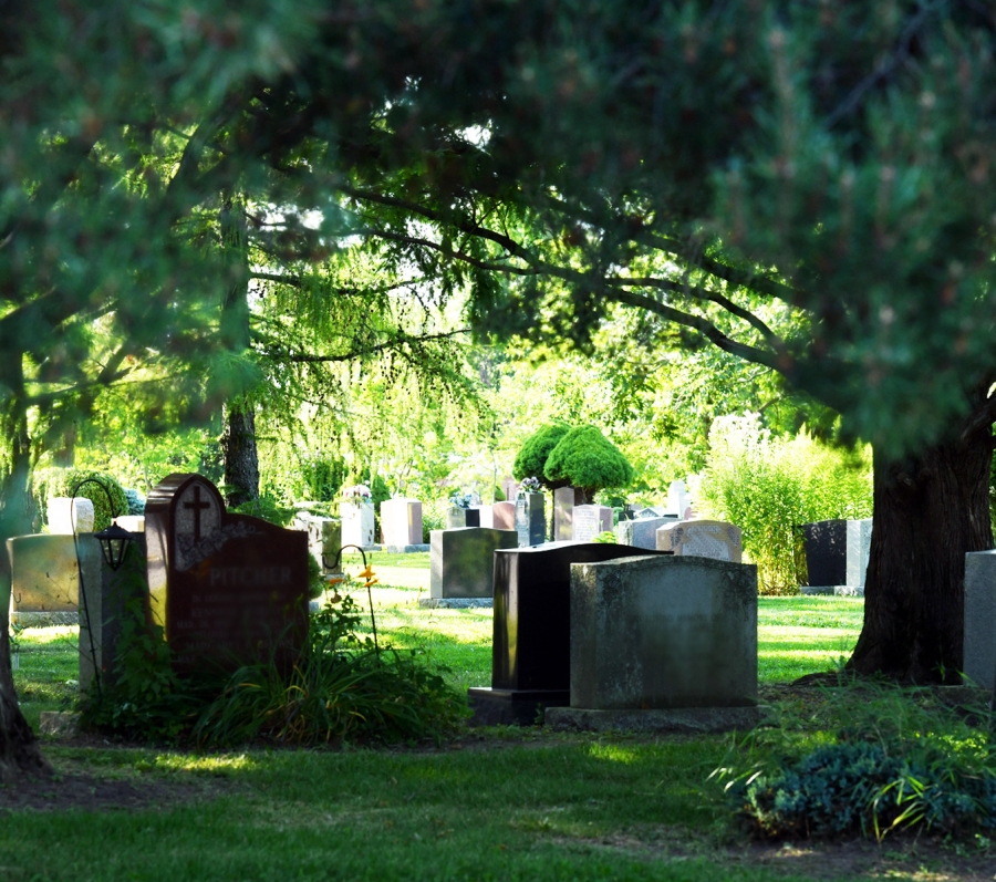 Graves at Meadowvale Cemetery