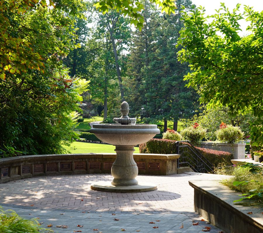 Fountain and trees