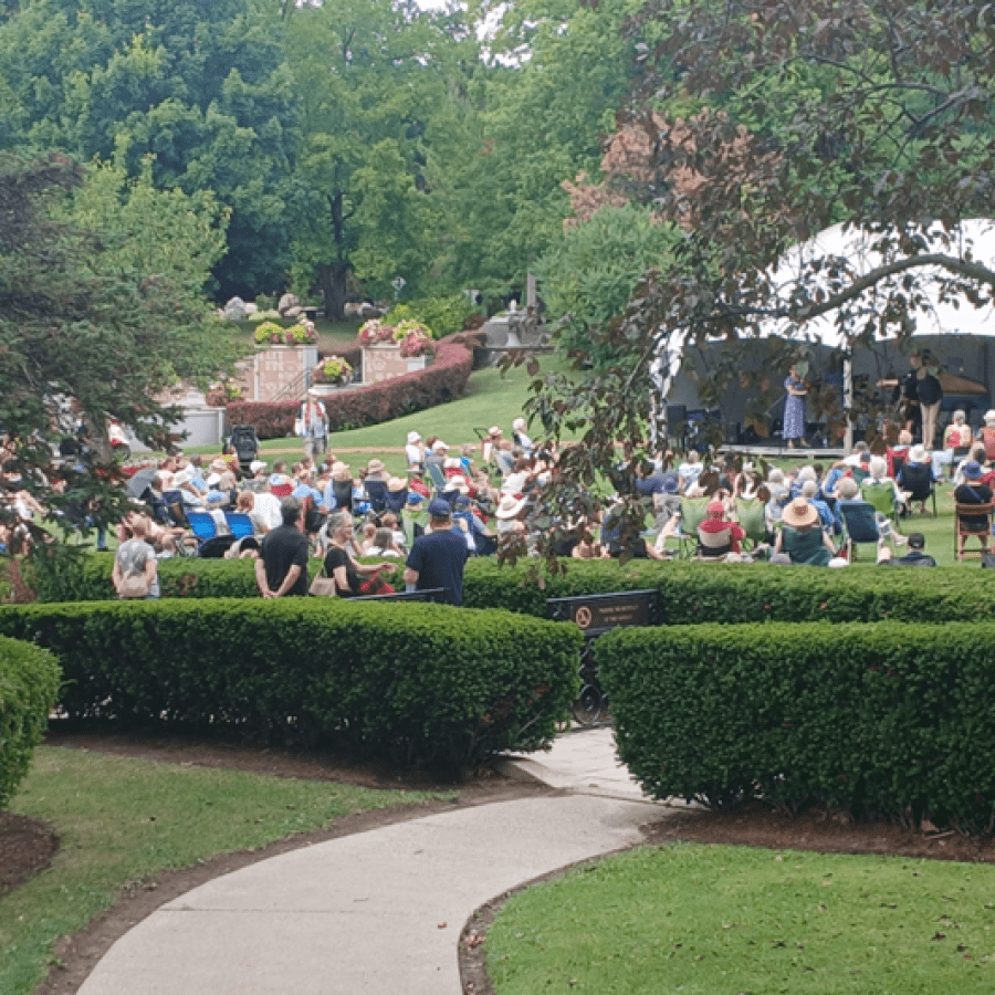 people gathered for a music concert in the park