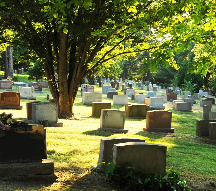 Graves at Prospect Cemetery