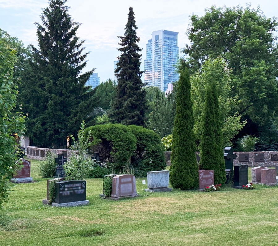 Graves and trees at York Cemetery 