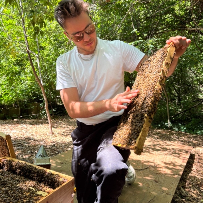 Person inspecting a bee-covered honeycomb frame beside an open beehive in a wooded area.