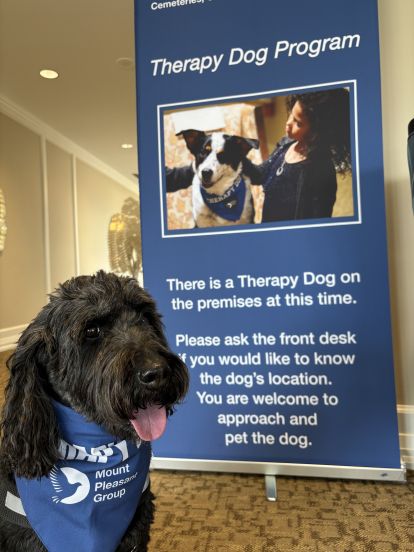 dog at funeral home