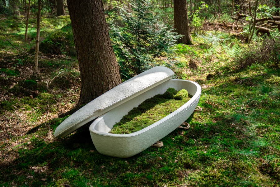 sustainable coffin in the woods