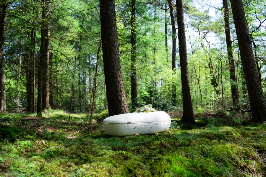 cocoon casket in the forest
