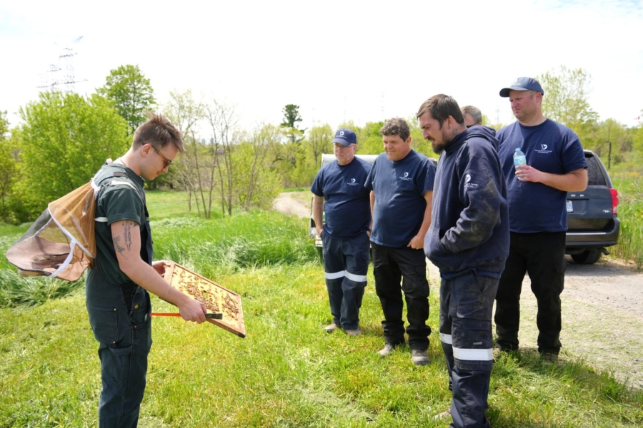 Person holding a honeybee frame while a group gathers outdoors to observe a beekeeping demonstration.