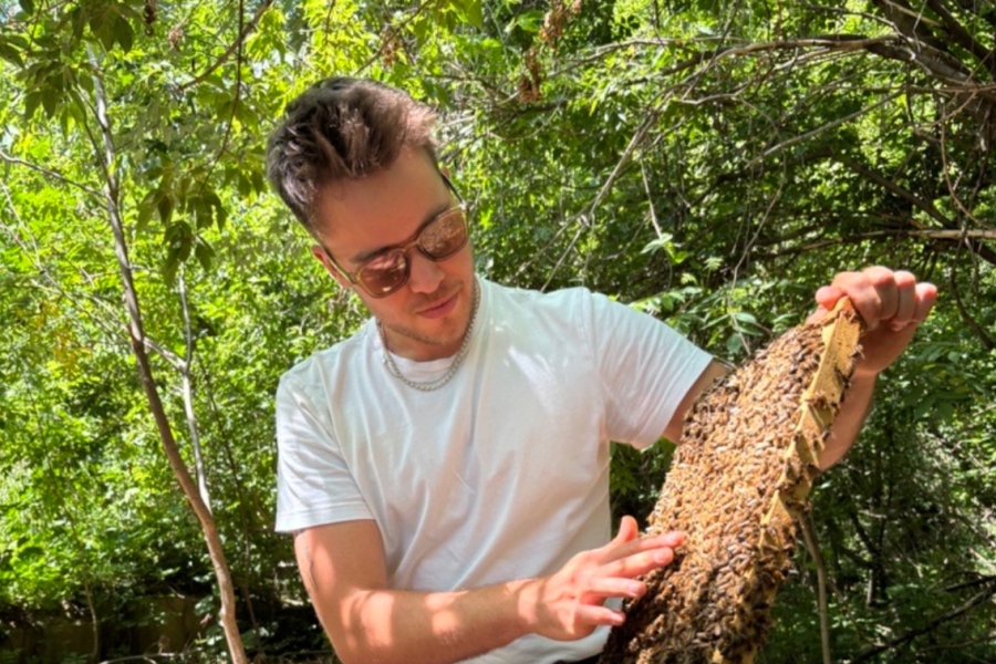 Person inspecting a bee-covered honeycomb frame beside an open beehive in a wooded area.