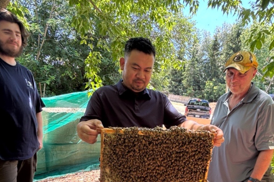 Person holding a bee-covered honeycomb frame while others observe beside a beehive.