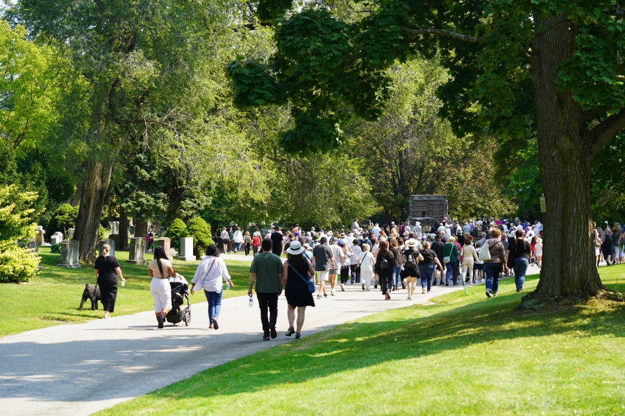 people walking in the cemetery surrounded by trees