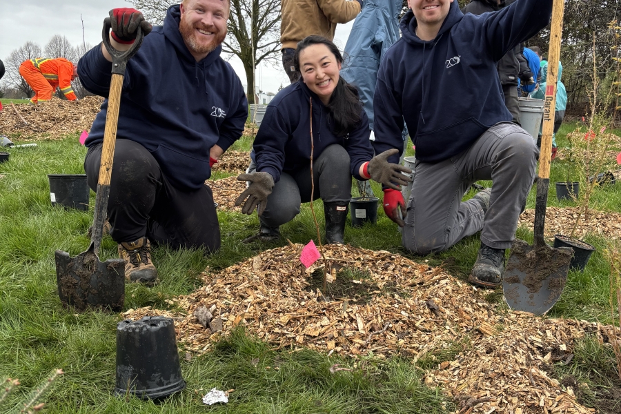 Three people kneeling by a newly planted tree, holding shovels and smiling.