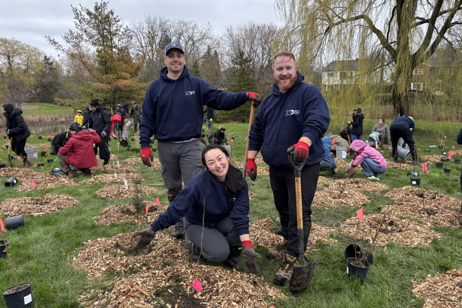 Three people standing and kneeling beside a newly planted tree, holding shovels, with others planting trees in the background.