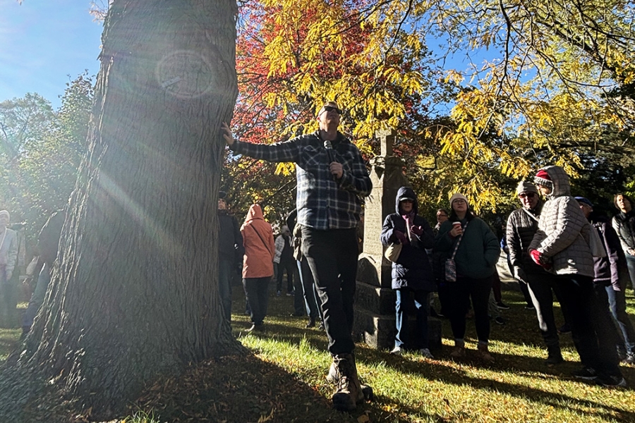 Person standing beside a large tree in a sunlit park during autumn, with a group gathered near stone monuments and colorful fall foliage overhead.