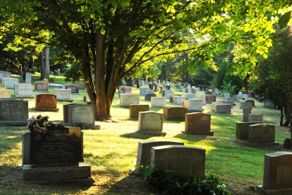 Peaceful view of Prospect Cemetery, highlighting its tranquil grounds, mature trees, and historic memorials.