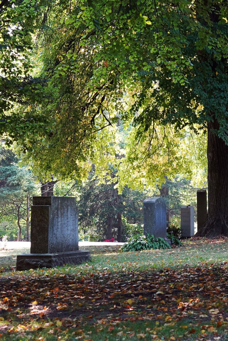 Peaceful view of Mount Pleasant Cemetery